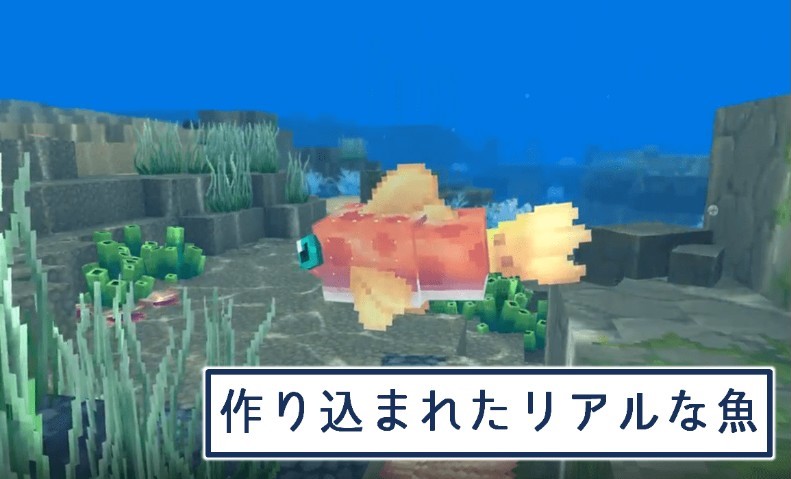 クオリティ高めな魚